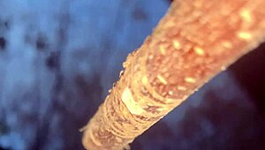 a man encounters a real witch and has passionate sex in the forest