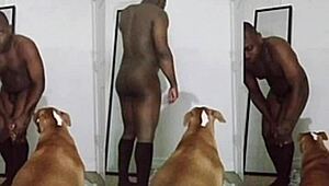 I tell a joke from that meme before masturbating, oops