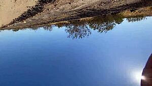 Public sex on Valentine's Day got us caught! 💥