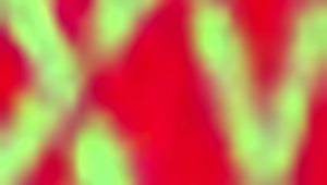 Little slut at the beach