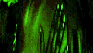 Having Fun Making Free Porn!