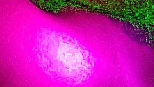 lesbians lick each other's wet pussies passionately