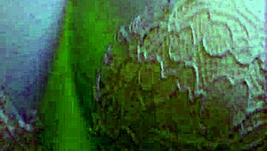 She Seduced Me: Work Hard And Play Harder