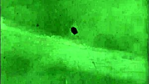 Vintage Erotic Art Collection