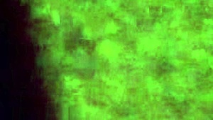 vid from september 25 2015