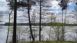 林务员森林自拍操人妻熟女