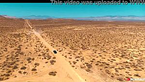 荒野超黑五狂欢预告 - DP双插呈现