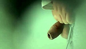 teasing cruising adventures with a bear in public restrooms