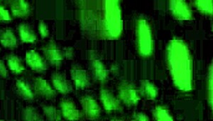 Succubus visits my house on Halloween night