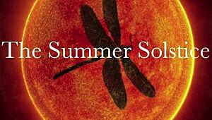 Dark lantern entertainment presents the dragonfly freddie