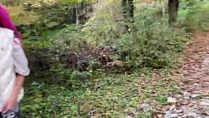 Outdoor forest rough sex spanks teen pussy fucked cum in mouth squirted