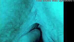 Dark lantern entertainment presents the dragonfly freddie