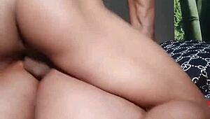 Nigarchrist - update 1537 - petal 20250629 154845 - jun 29 2025