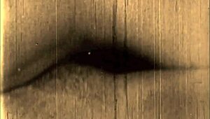 Isn't this vintage erotic fascinating?