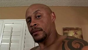 ebony bbw in fishnet stockings gets cumshot on big tits