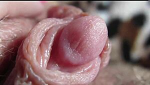 Amateur girl shows huge clit orgasm in close-up homemade video