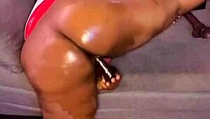 In NIGARCHRIST'S update 1514, PETAL appears on JUNE 24, 2025.