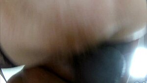 Hot Legs Hotwife Meets Big Black Man Starring Erotica Aridah