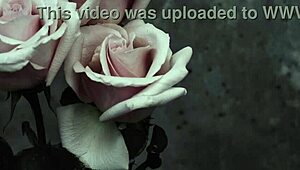 goth band mcr performs i dont love you with spanish subs