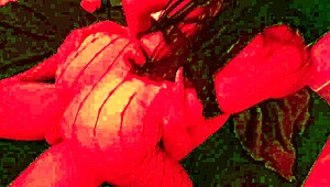 sweet wish for big cock appears in halloween homemade roleplay