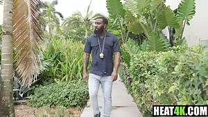 Gotham clown chase vol 1 harley quinn parody cory chase ace bigs