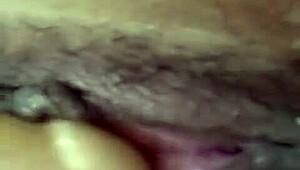 dana barzagli tattooed latina teen shoves dildo deep in her big ass solo