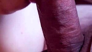 Dominican BBW morning blowjob