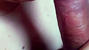 Dominican BBW morning blowjob