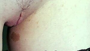 evelyn claire strips naked posing sexy in lingerie stockings showing small tits and pussy close up