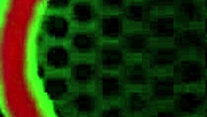 mini stallion blonde rides rome majors monster cock in red sneakers cowgirl 🔥🍆