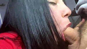 roommate, my mouth craves cock all day wanna see me suck?