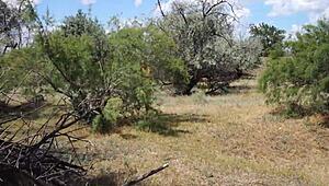 i'm so shy... this aboriginal cutie dances outdoor in costume