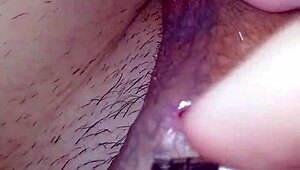 close view of my huge cock's multiple piercing holes