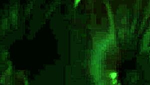 picture this lovely busty shemale pounds her sexy horny friend's pussy deep and hard on the sofa close-up