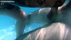 holiday pool threesome explodes with milf and brunette deepthroating monster cocks before juicy pussy licking and doggystyle pounding