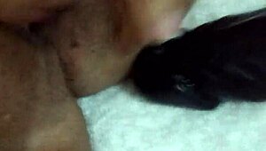 Wife grabs her favorite dildo for some playful homemade fun on camera