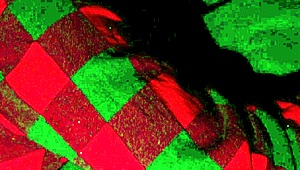 Stepmom's Perfect Ass Guides Stepson Intimately