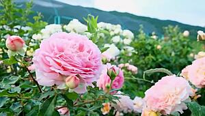 back in college my indian friend finally fucked me after hanging out with our group