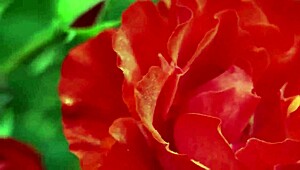 back in college my indian friend finally fucked me after hanging out with our group