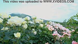 back in college my indian friend finally fucked me after hanging out with our group