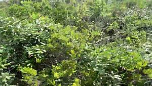 Clitlicker662 Shares Update 40 Image 1437 June 2025