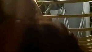 Wife Sucks Monster Cock Before Bent-Over Balcony Fuck And Cum Mouthful On Hotel Holiday!