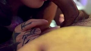 i'm the helpless bunny he rough-fucks and forces to sniff his filthy cock