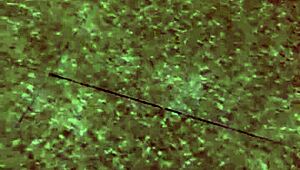 ch�̀ng xu�́ng b�́p l�̣t qu�̀n v�̣ l�̣m ti�́p sex v�̣ v�̛n v�̣i nhau