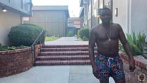 layla quinn pounded by rome major's thick bbc cumshot