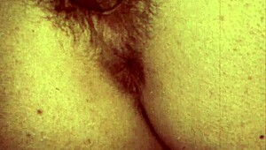 vintage hairy pussies get blown and fucked raw in retro interracial action