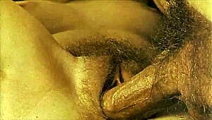 vintage hairy pussies get blown and fucked raw in retro interracial action