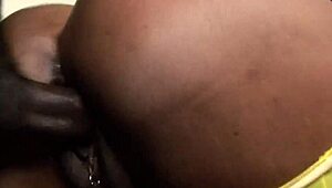 Obese Amateur Bbw Fucks Big Black Cock Deep Rough