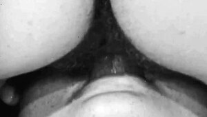 vintage hairy lesbians lick beavers in retro threesome muff diving action